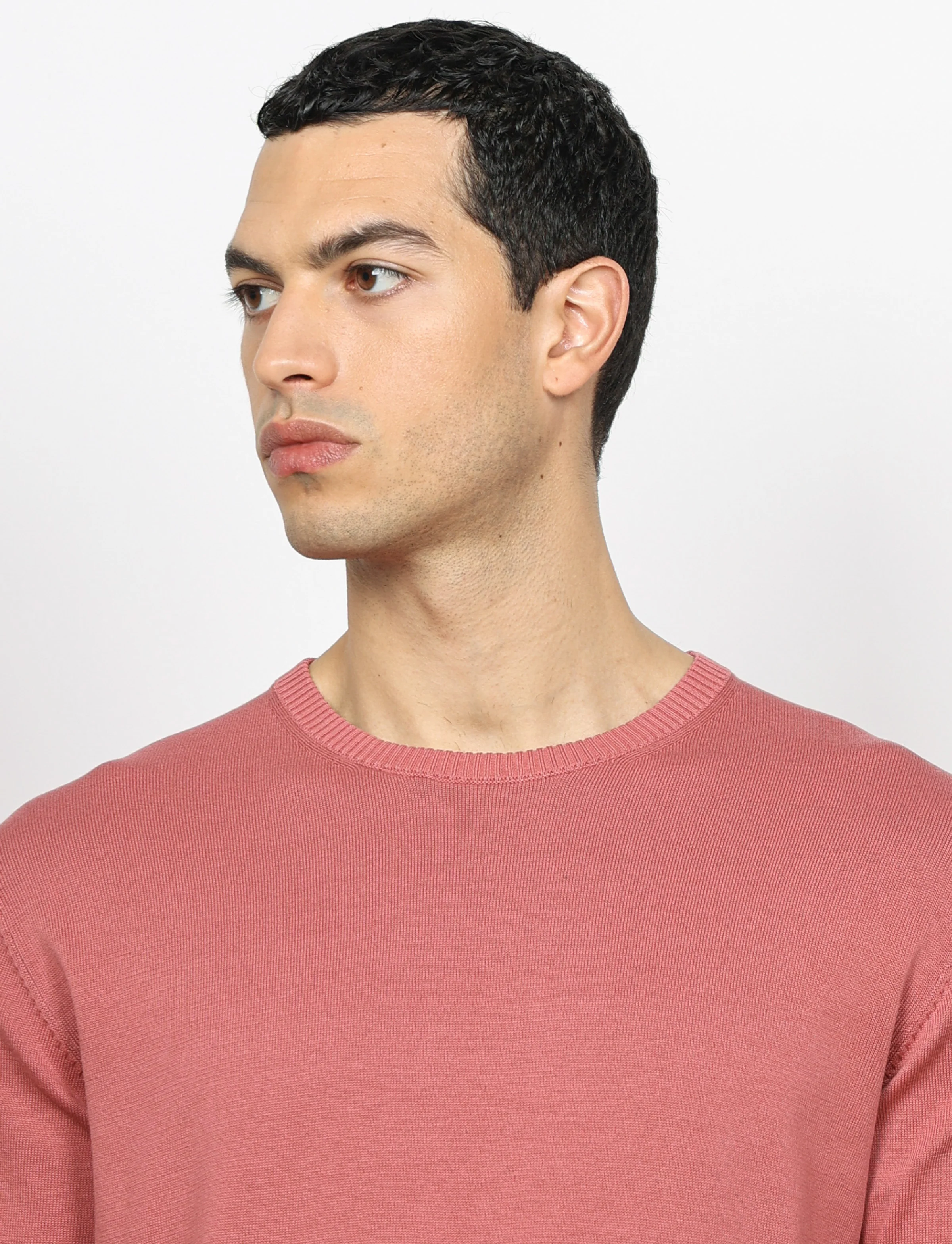 Maglia girocollo in cotone a maniche lunghe - Image 26