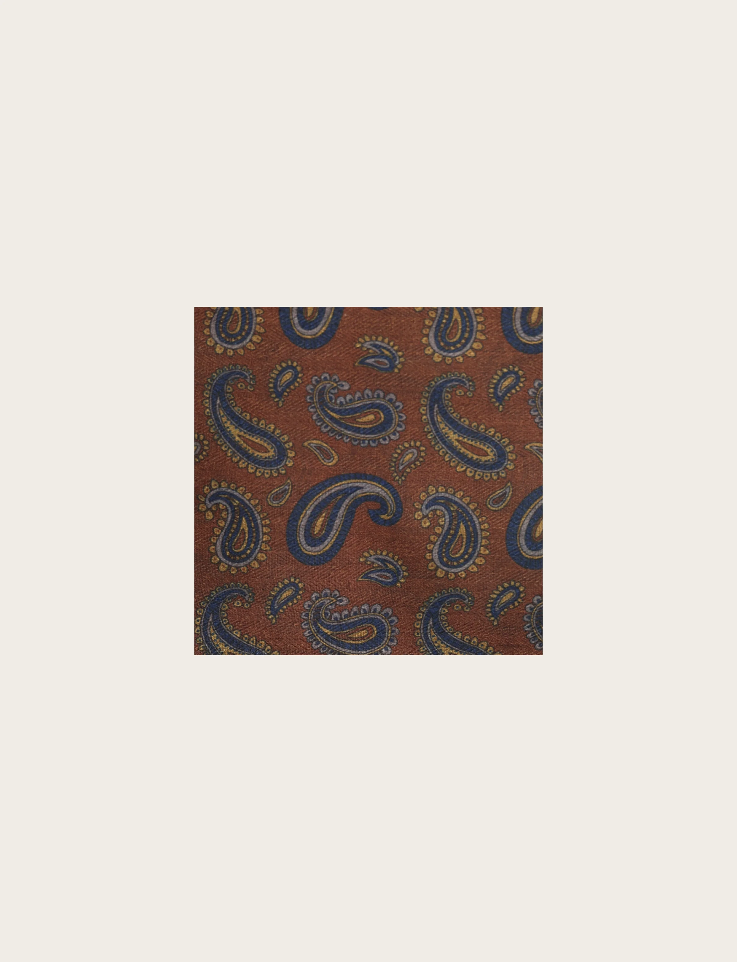 Pochette fantasia paisley